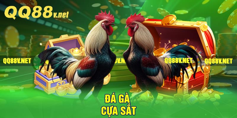 Đá gà cựa sắt