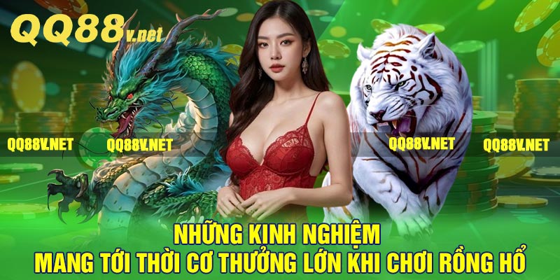 Những kinh nghiệm mang tới thời cơ thưởng lớn khi chơi Rồng Hổ