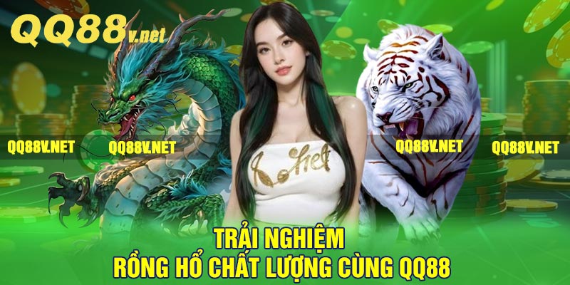 Trải nghiệm Rồng Hổ chất lượng cùng QQ88